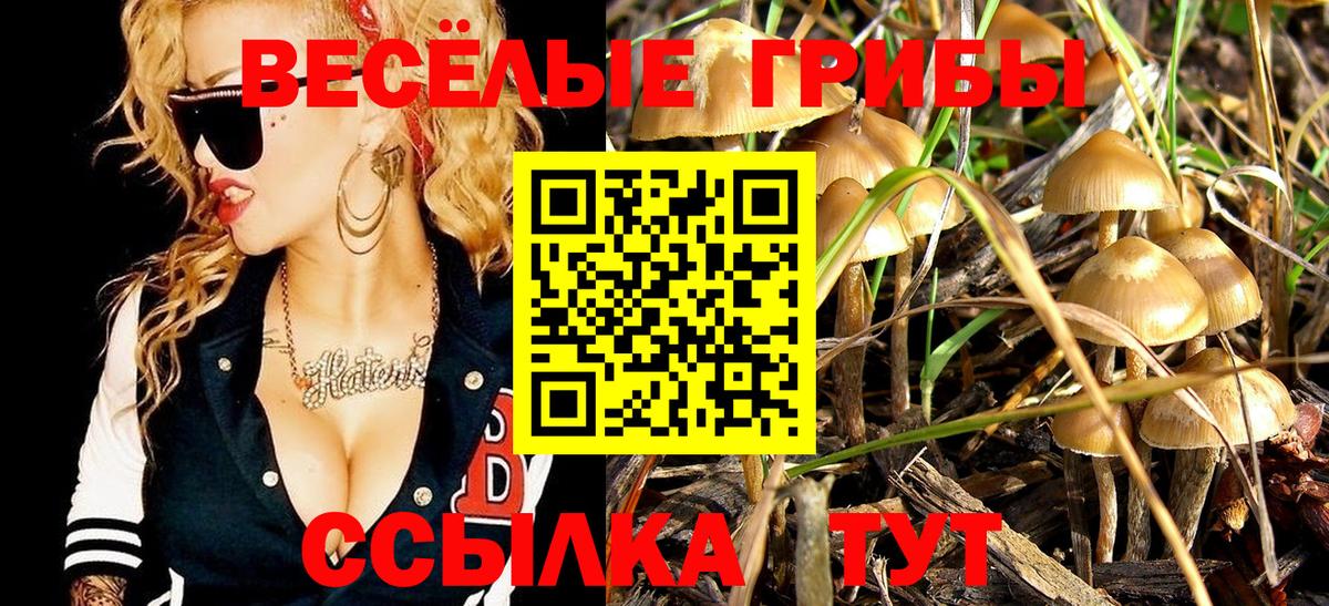 Галлюциногенные грибы MAGIC MUSHROOMS Светлоград