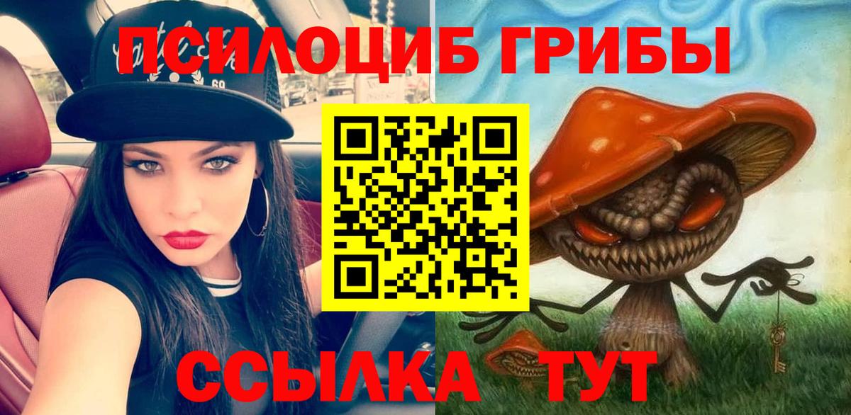 Светлоград  где купить   Вход с VPN  Галлюциногенные грибы Magic Shrooms 